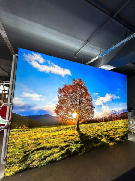 WhatsApp Image 2023 WhatsApp Image 2023